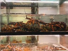 -甄御•海鲜新青岛菜(麦岛店)