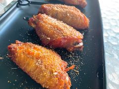 -柴犬高等学院·狗咖·柴犬售卖·宠物训练