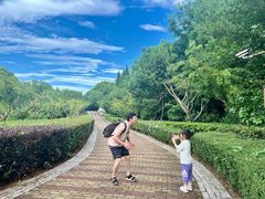 -同里国家湿地公园