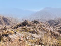 -大岭沟猕猴桃谷风景区