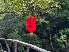 -石台牯牛降景区