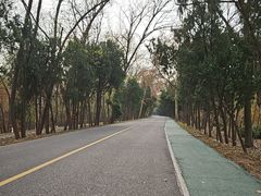 -洪泽湖古堰景区