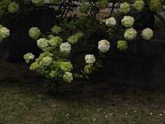 -明故宫遗址公园