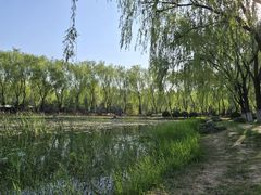 -东升八家郊野公园