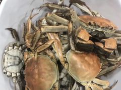 -一号码头蒸汽海鲜自助