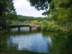 -苏州上方山国家森林公园