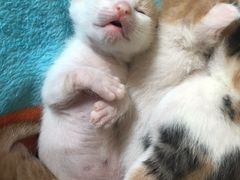 -马王堆海鲜水产市场