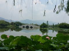 -飞来湖湿地公园