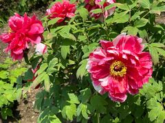 -江南大学(蠡湖校区)