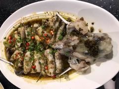 冬尖蒸江团鱼-眉州东坡(博雅店)