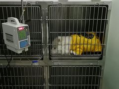 治疗室-贝林动物诊所