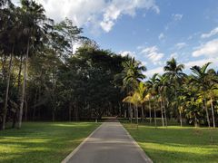 -中国科学院西双版纳热带植物园