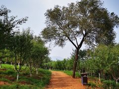 -北京西山国家森林公园