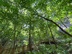 -大连天门山国家森林公园