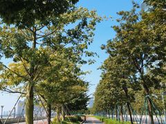-洲头咀公园
