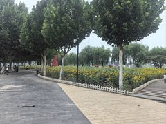 -廊坊文化艺术中心