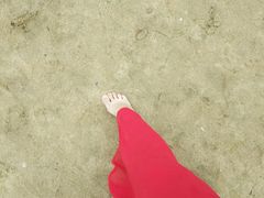 -碧海金沙