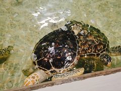 -常州海昌海洋探索馆
