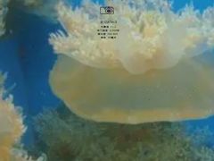 -常州海昌海洋探索馆