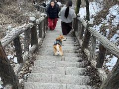 -秦岭终南山世界地质公园翠华山景区