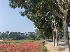 -光明小镇欢乐田园