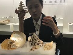 -青岛贝壳博物馆