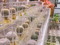 -KKV(深圳宏发大仟里店)