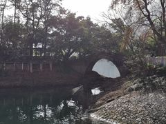 -广州市流溪河国家森林公园