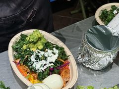 -油梨树AVOCADO TREE(顺义新国展店)