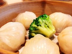 金悦虾饺皇-金苑海鲜酒家(来魅力店)