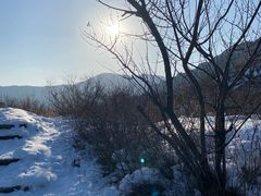 -北京凤凰岭