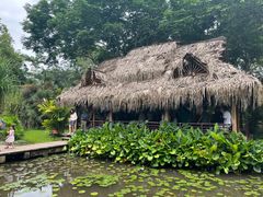 -中国科学院西双版纳热带植物园