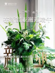 -新寰亚月子会所(金鸡湖凯宾店)