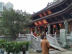 -华林禅寺