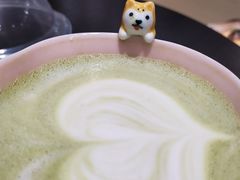 -逗柴咖啡屋·狗咖猫咖宠物桌游
