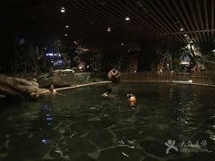 -顺景温泉