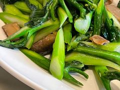 -顺德美的万豪酒店-万豪中餐厅