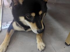 -怦然秘事游戏体验馆(银座和谐广场店)