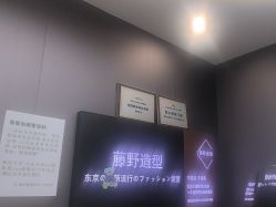 -藤野造型烫染