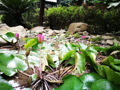 -明月山天沐温泉度假村