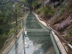 -九龙江国家森林公园