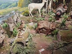 -陕西自然博物馆