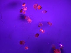 -常州海昌海洋探索馆