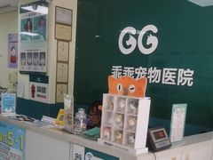 -乖乖宠物医院·猫科·急重症中心(车站北路分院)