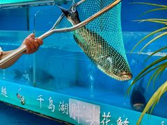 -永安水煮活鱼·仪征菜(仪征奥林匹克店)