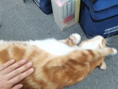 -青沐画室·专业美术培训