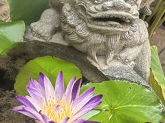 -挂甲禅寺