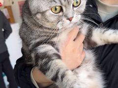 -美联众合24小时·皮肤科·外科·全科诊疗中心(华苑分院)