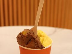 云南蜜桔-Dal Cuore 达可芮冰淇淋(陕西北路店)