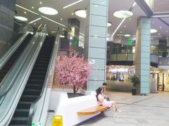 -鄂尔多斯国际大厦